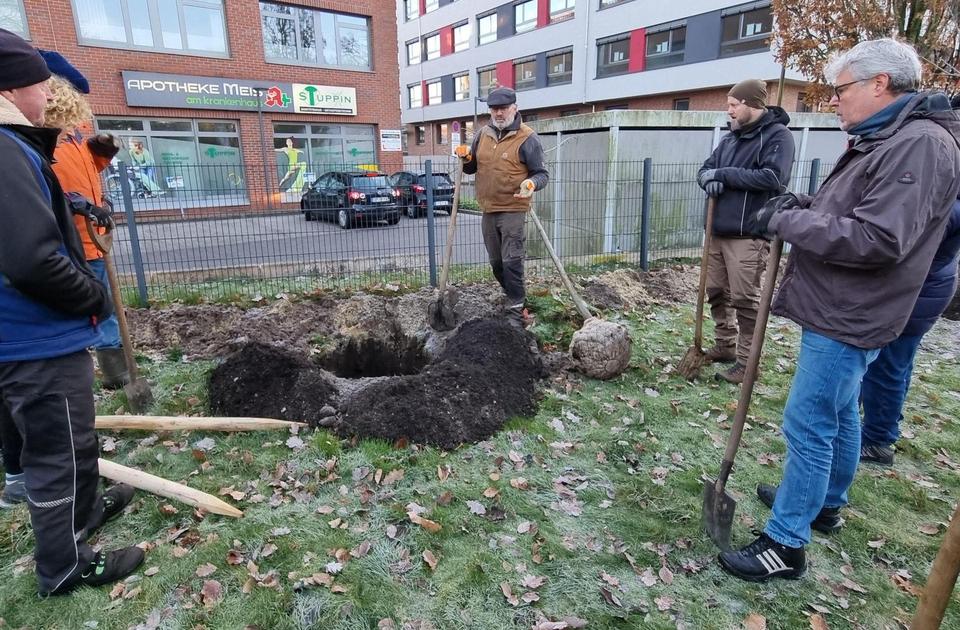 Pflanzaktion Obstwiese