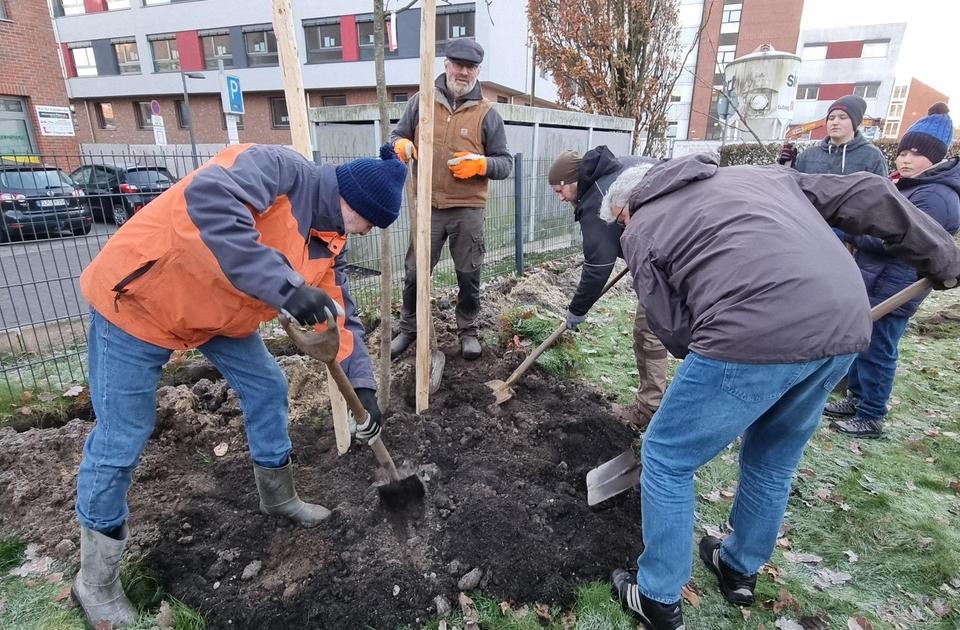 Pflanzaktion Obstwiese