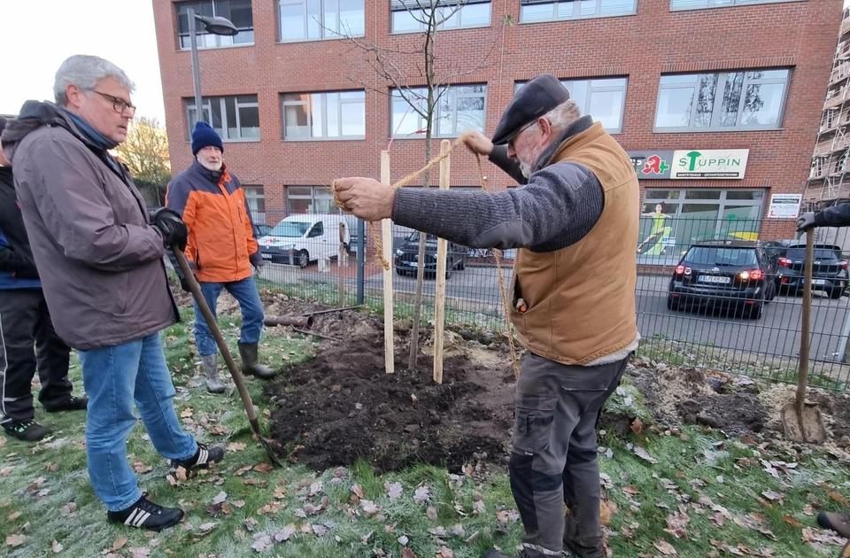 Pflanzaktion Obstwiese