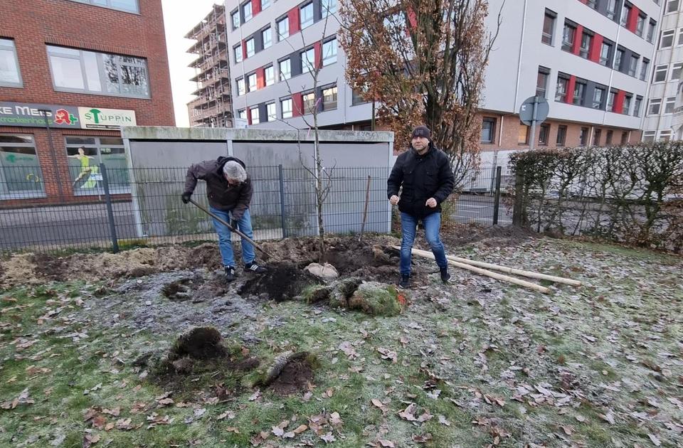 Pflanzaktion Obstwiese